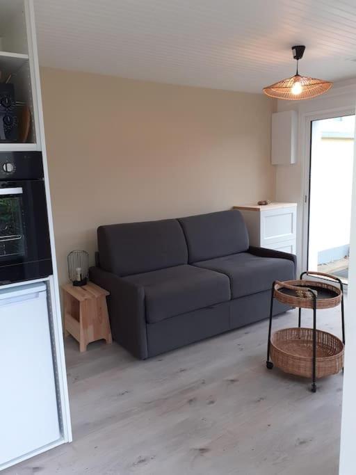 Appartement Canape Convertible 2 Pers Avec Jardin Et Parking Clos
