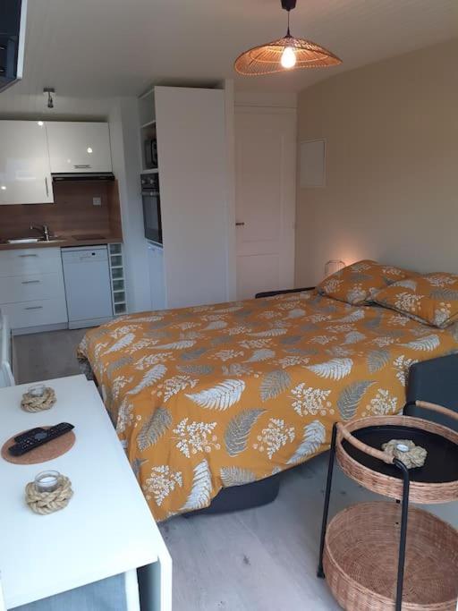 Appartement Canape Convertible 2 Pers Avec Jardin Et Parking Clos *